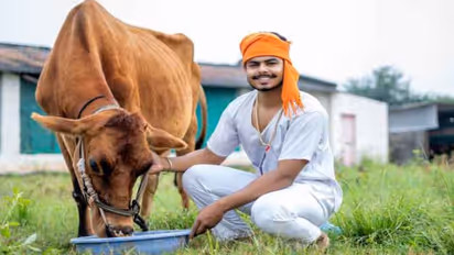 national gopal ratna award 2025