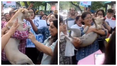 Protest against the court order with street dogs in delhi