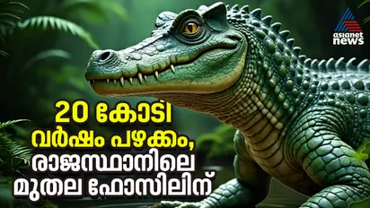 fossil of a Phytosaur