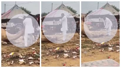 shocking video footage Brutal pressure to lift the collapsed camel