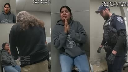 Gujarat Lady stolen in America