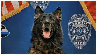 Police Dog K-9 Archer