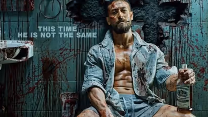 Baaghi 4 Box office Collection