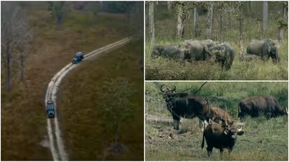 Muthanga wildlife sanctury