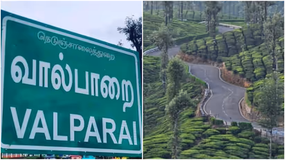 Valparai