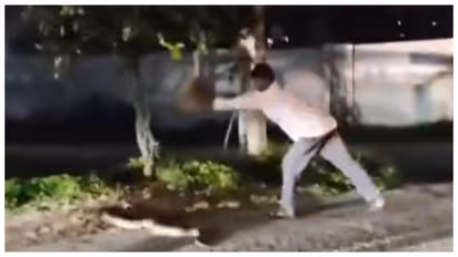 man trying to kill a giant python