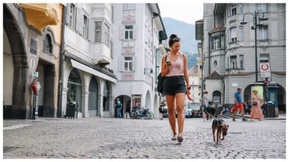 Italian city is introducing a tourist tax for dogs