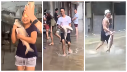 Fish In Flooded Roads in Macau street