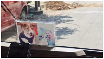 driver kept a picture of his deceased pet dog in auto