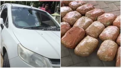  Ganja seizure in Kalady Kerala