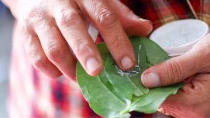 Benefits of lime for bones