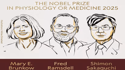 Mary Brunkow Fred Ramsdell Shimon Sakaguchi