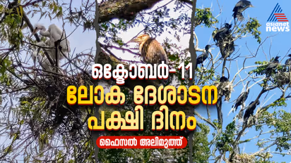 World Migratory Bird Day