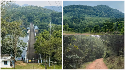 Peppara wildlife sanctuary