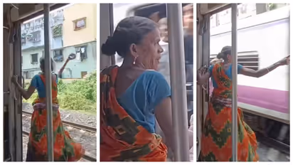 Woman throws stone at local train driver