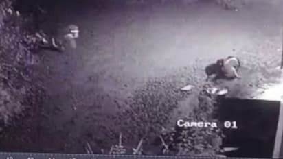 cctv leopard palakkad