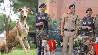 Indian Breed Dogs in BSF
