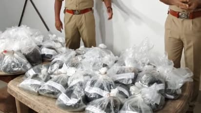 Hashish oil busted from odisha