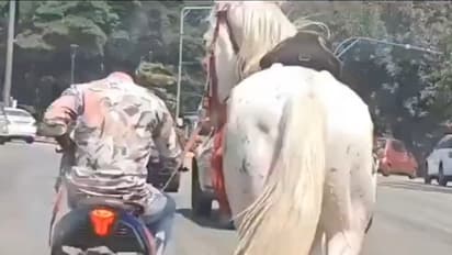 Bengaluru Biker Drags Horse