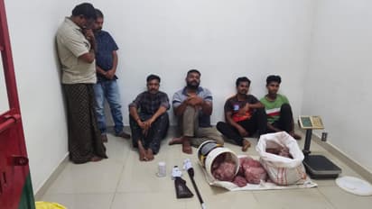 animal hunter arrest 