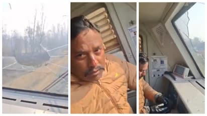 Eagle Crashes Into Windscreen Of Speeding Train In JK