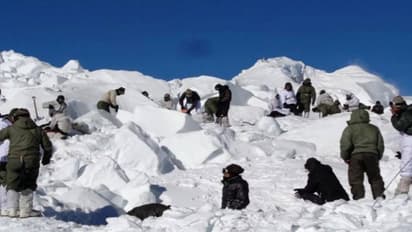 siachen soldiers survive