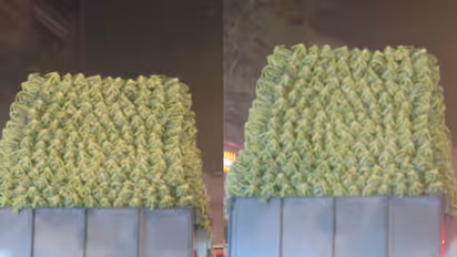 cauliflower transport