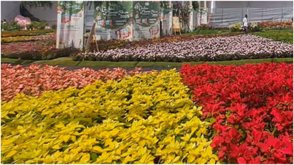 Kochi flower show