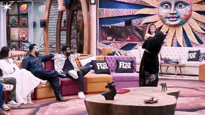 Malti Chahar Slaps Tanya Mittal