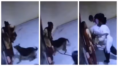 Woman brutally beaten by dog owner 