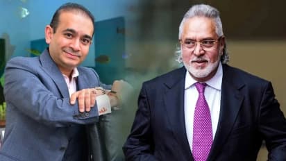 Nirav Modi Mallya 