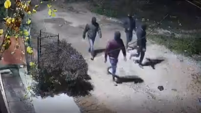 thief planning viral video