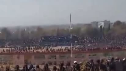 taliban public execution