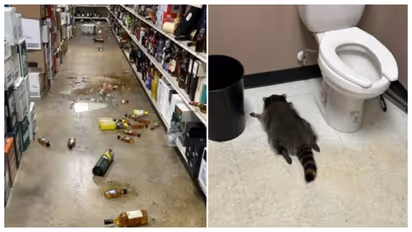 Drunken Rangoon spotted in US liquor store bathroom