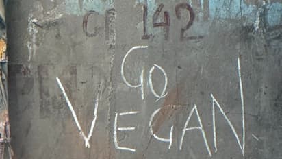 Go Vegan - Bengaluru 