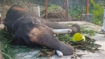 mullackal balakrishnan