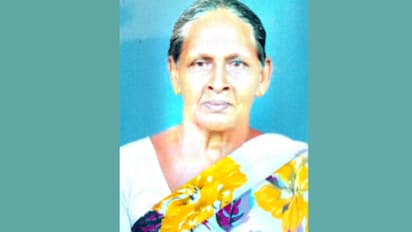 swarm of wasps attack