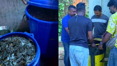 Illicit liquor seizure in Kerala