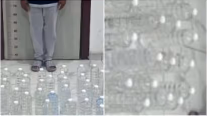 expat arrested in kuwait