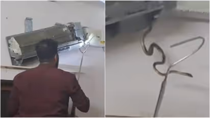 snakes found inside AC unit