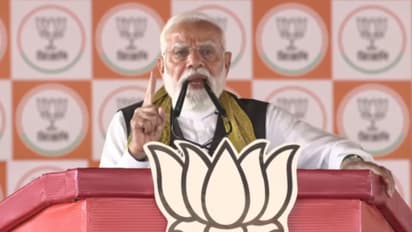 'চাহিদা থাকলেও উৎপাদন স্বনির্ভর নয়', এবার মাছ নিয়েই তৃণমূলকে খোঁটা মোদীর