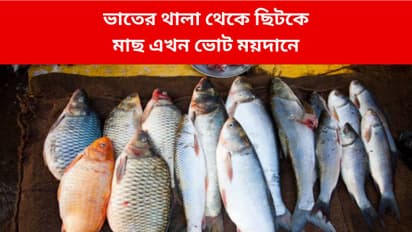 উগান্ডা থেকে পশ্চিমবঙ্গ! মোদীর দাবি অনুযায়ী সত্যিই কি বাইরে থেকে বাংলায় মাছ আসে?