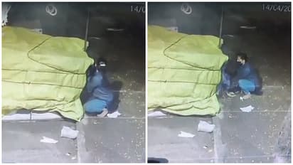 Bengaluru coconut theft