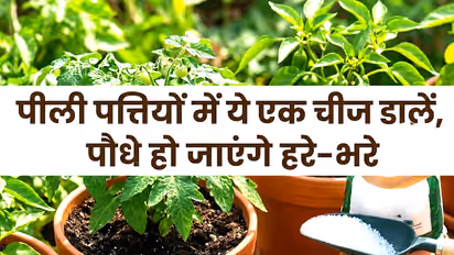 what is epsom salt in hindi