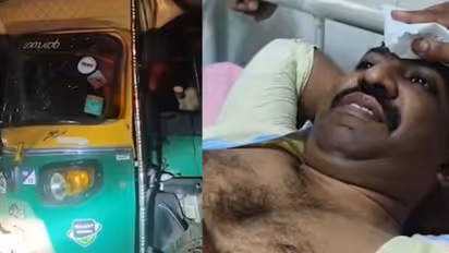 runaway buffalo attacks auto driver in nadapuram