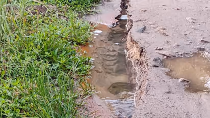 cheruthana road collapses into river 30 families in crisis