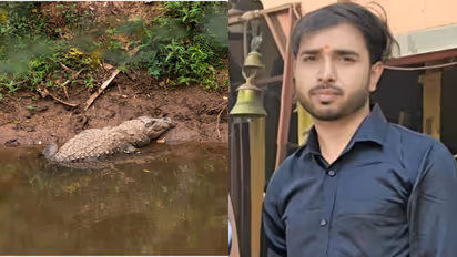 UP Crocodile Attack