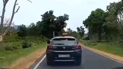 Viral video shows tourists littering inside Bandipur Tiger Reserve