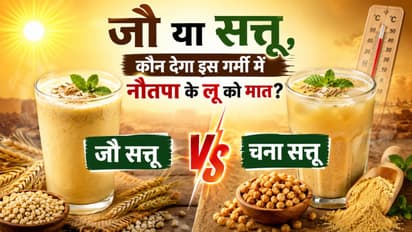 jau sattu vs chana sattu