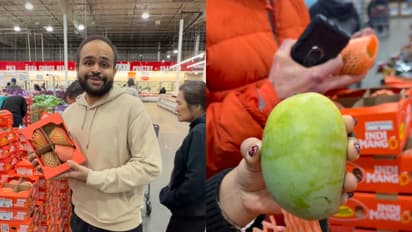 Indian Kesar mangoes spotted at Costco in US go viral